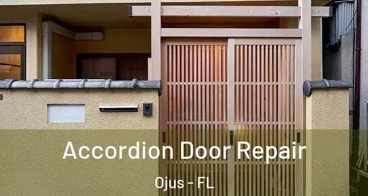 Accordion Door Repair Ojus - FL