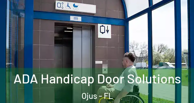 ADA Handicap Door Solutions Ojus - FL