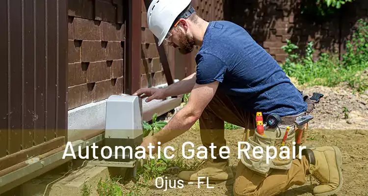 Automatic Gate Repair Ojus - FL