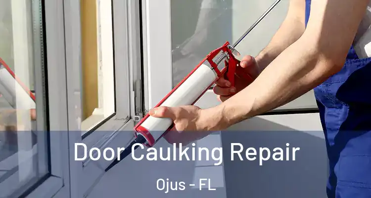 Door Caulking Repair Ojus - FL