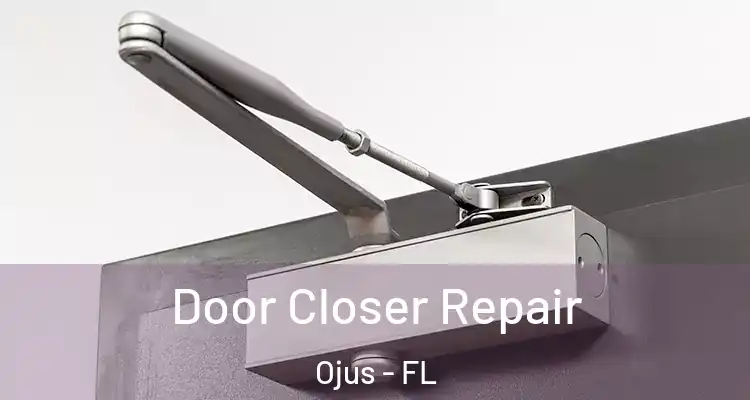 Door Closer Repair Ojus - FL