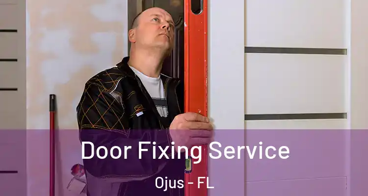 Door Fixing Service Ojus - FL