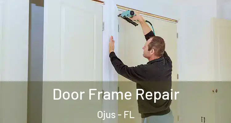 Door Frame Repair Ojus - FL