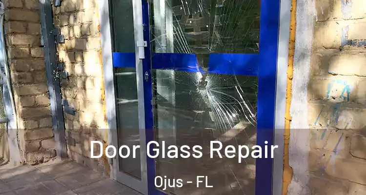 Door Glass Repair Ojus - FL