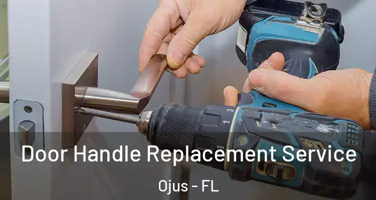 Door Handle Replacement Service Ojus - FL