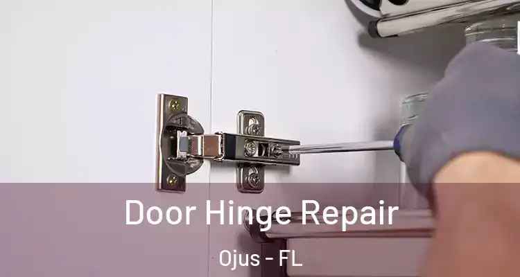 Door Hinge Repair Ojus - FL