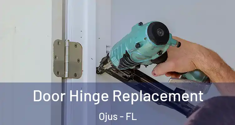 Door Hinge Replacement Ojus - FL