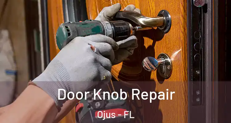 Door Knob Repair Ojus - FL