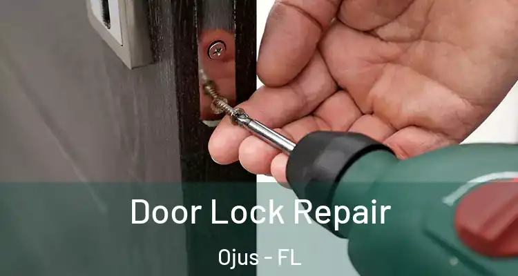 Door Lock Repair Ojus - FL