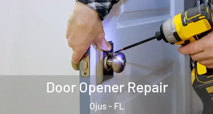 Door Opener Repair Ojus - FL