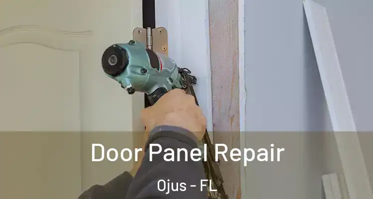 Door Panel Repair Ojus - FL