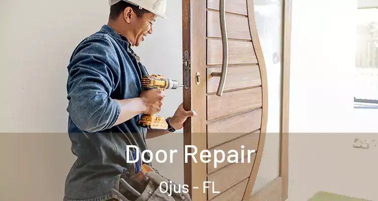 Door Repair Ojus - FL
