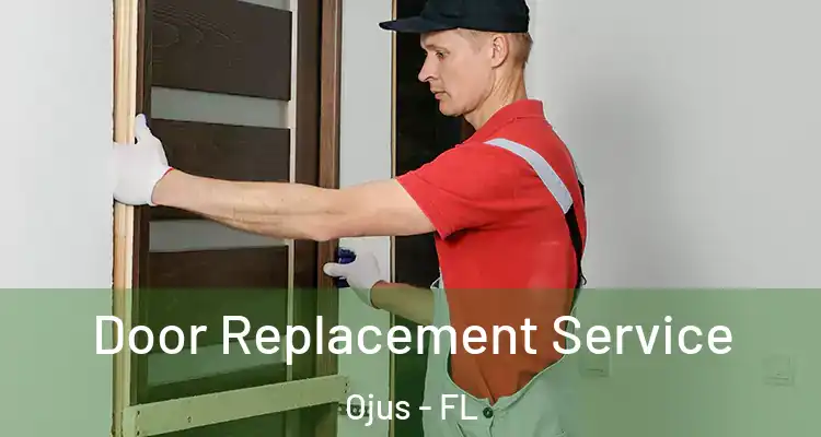 Door Replacement Service Ojus - FL