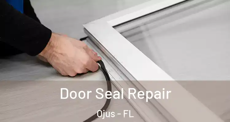 Door Seal Repair Ojus - FL