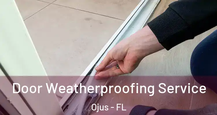Door Weatherproofing Service Ojus - FL
