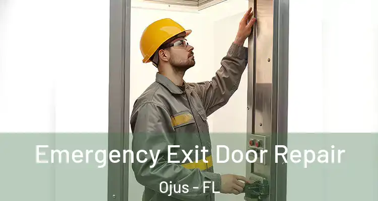 Emergency Exit Door Repair Ojus - FL