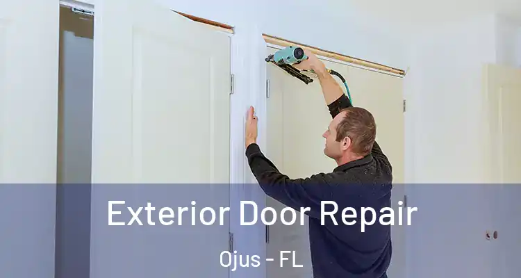 Exterior Door Repair Ojus - FL