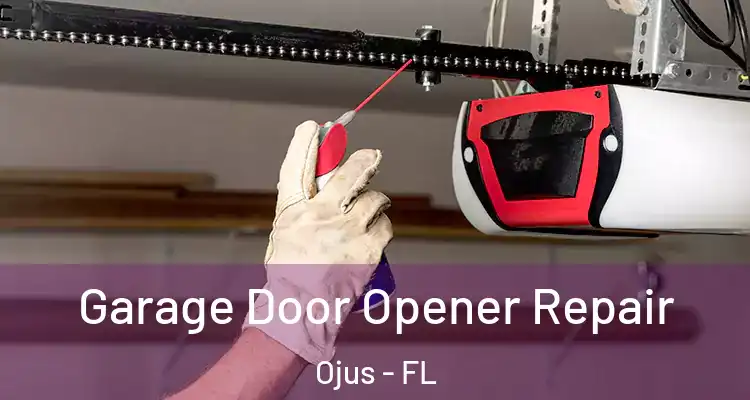 Garage Door Opener Repair Ojus - FL