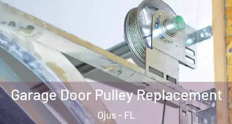 Garage Door Pulley Replacement Ojus - FL