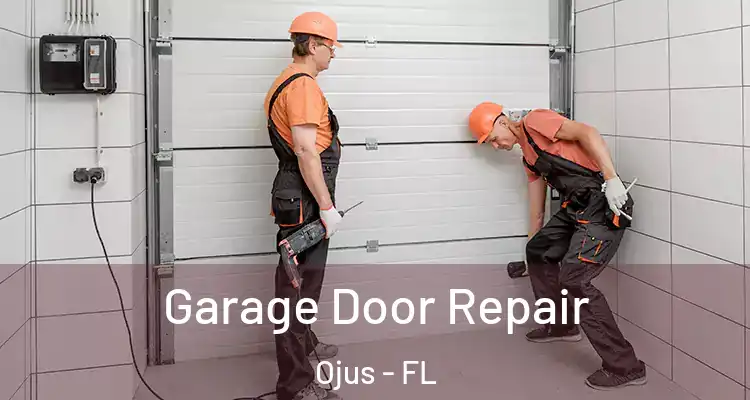 Garage Door Repair Ojus - FL