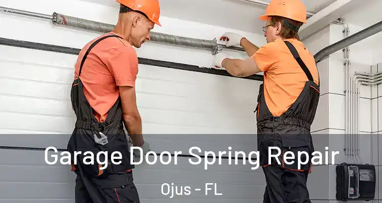 Garage Door Spring Repair Ojus - FL