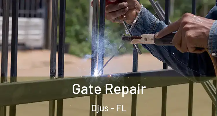 Gate Repair Ojus - FL