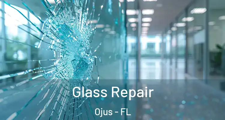 Glass Repair Ojus - FL