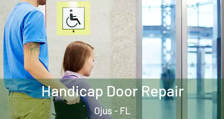 Handicap Door Repair Ojus - FL