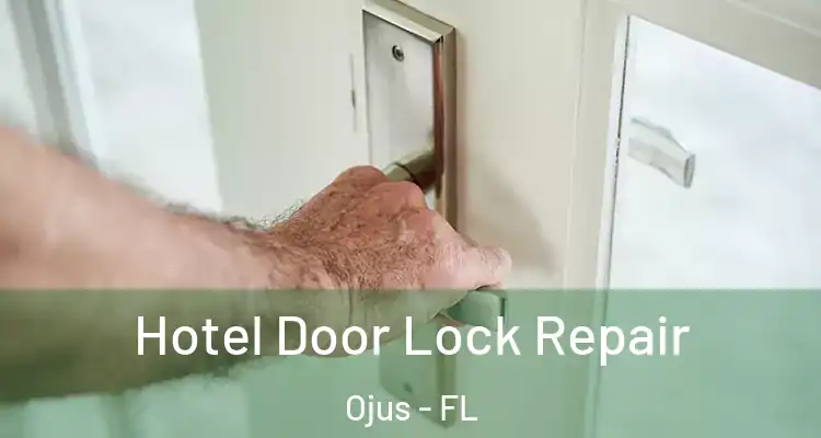 Hotel Door Lock Repair Ojus - FL