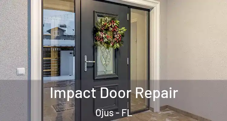 Impact Door Repair Ojus - FL
