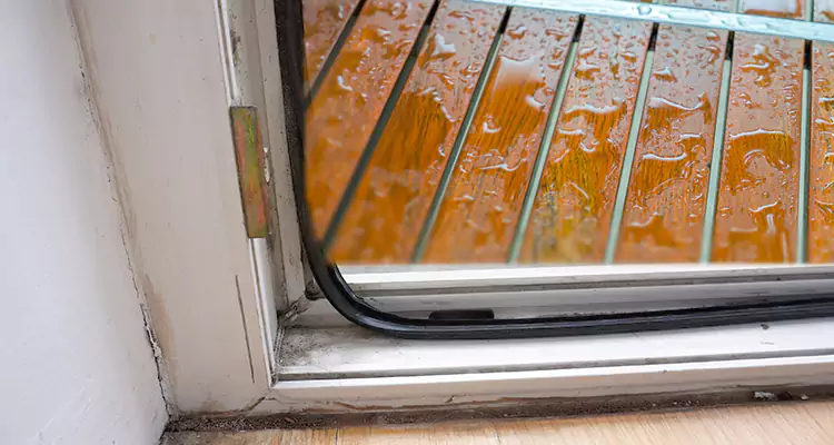 Water Leaking Wooden Patio Doors Repair in Ojus, FL