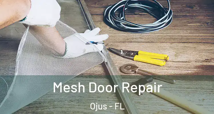 Mesh Door Repair Ojus - FL