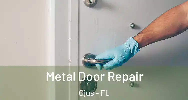 Metal Door Repair Ojus - FL