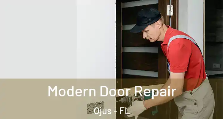Modern Door Repair Ojus - FL