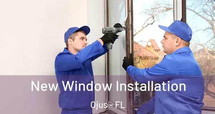 New Window Installation Ojus - FL