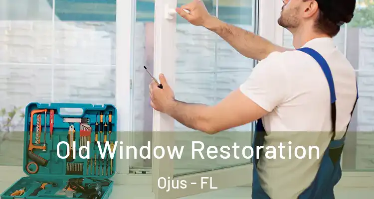 Old Window Restoration Ojus - FL