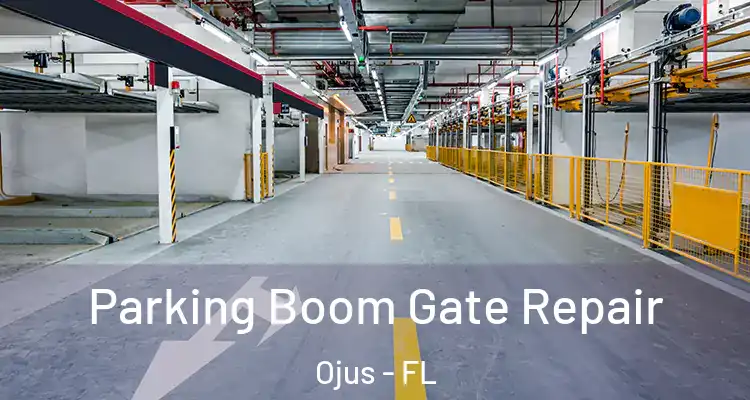 Parking Boom Gate Repair Ojus - FL