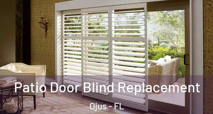 Patio Door Blind Replacement Ojus - FL