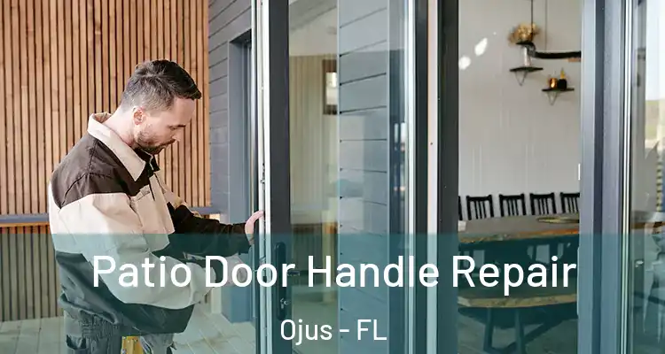 Patio Door Handle Repair Ojus - FL