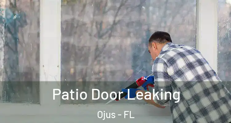 Patio Door Leaking Ojus - FL