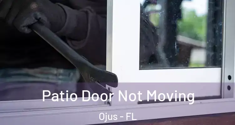 Patio Door Not Moving Ojus - FL