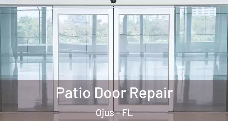 Patio Door Repair Ojus - FL
