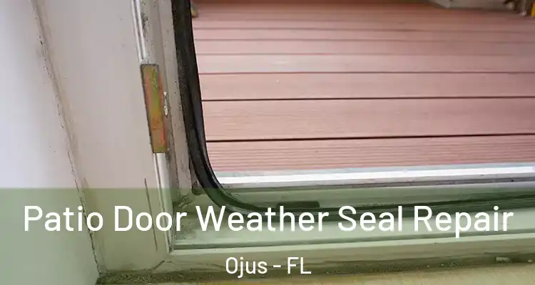 Patio Door Weather Seal Repair Ojus - FL