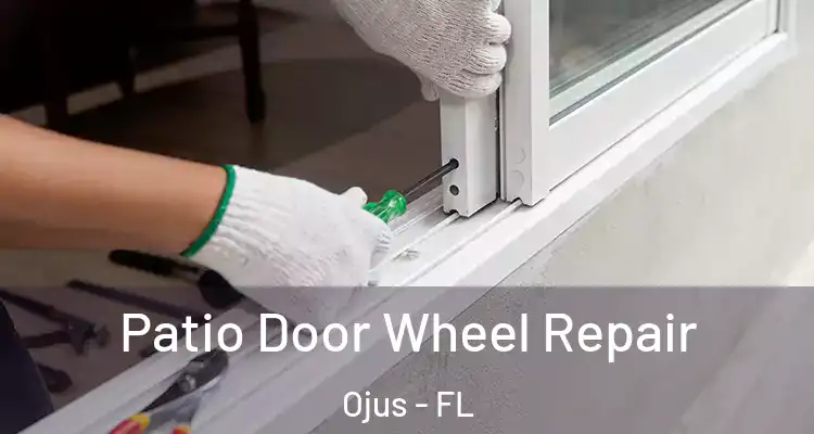 Patio Door Wheel Repair Ojus - FL