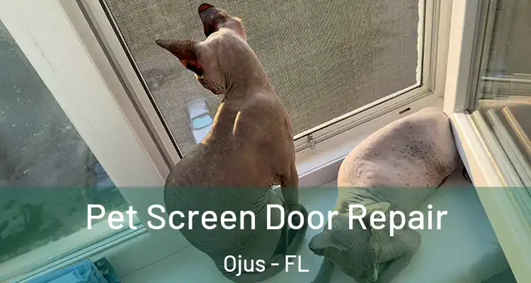 Pet Screen Door Repair Ojus - FL