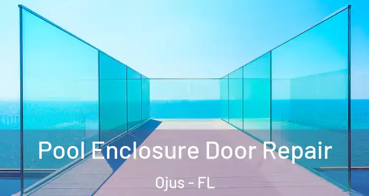Pool Enclosure Door Repair Ojus - FL