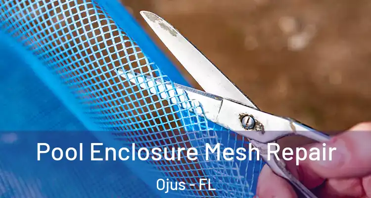 Pool Enclosure Mesh Repair Ojus - FL