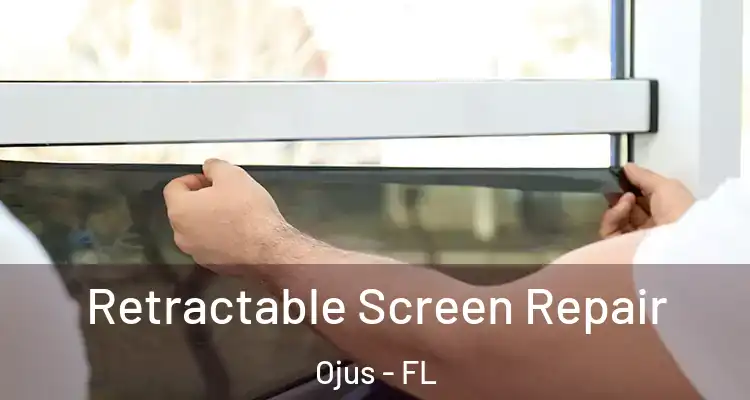 Retractable Screen Repair Ojus - FL