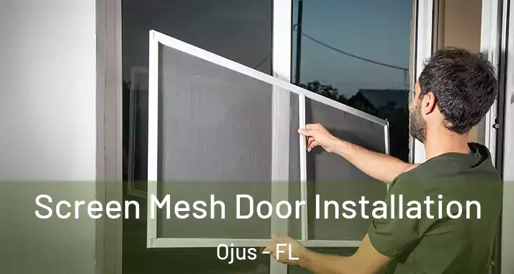 Screen Mesh Door Installation Ojus - FL