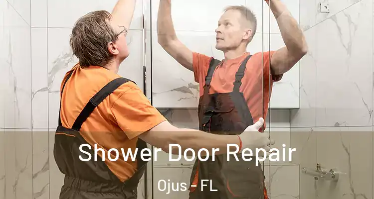 Shower Door Repair Ojus - FL